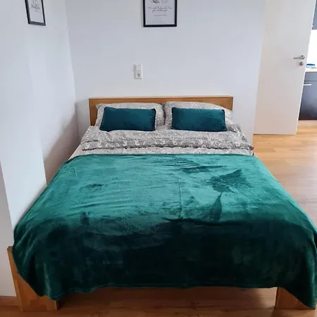 Apartment Ferienapartment Heimatgefuehl Buehl (Rastatt)