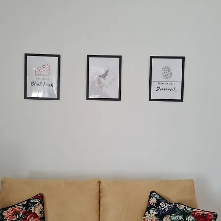 Apartman Ferienapartment Heimatgefuehl Bühl